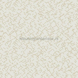 Hookedonwalls New Wave 24842 | Bestellen bij https://www.kleurmijninterieur.nl/