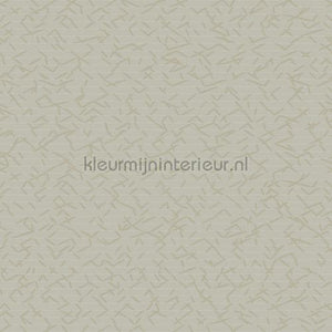 Hookedonwalls New Wave 24843 | Bestellen bij https://www.kleurmijninterieur.nl/
