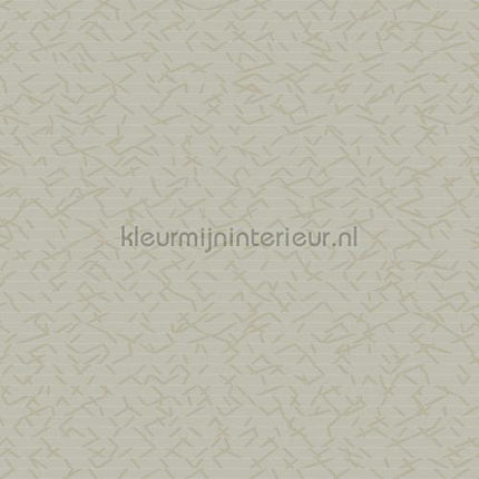 Hookedonwalls New Wave 24843 | Bestellen bij https://www.kleurmijninterieur.nl/