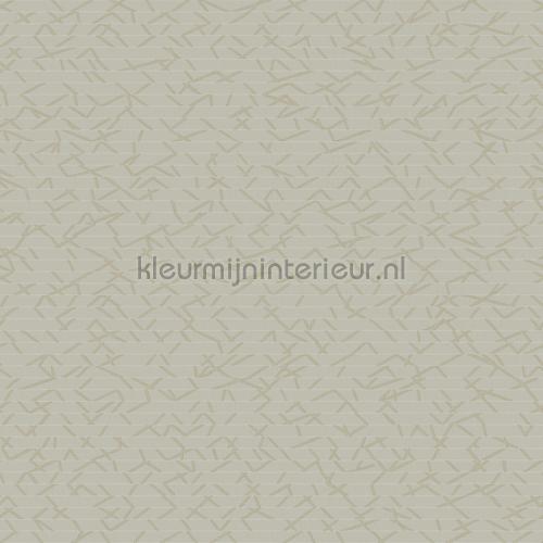 Hookedonwalls New Wave 24843 | Bestellen bij https://www.kleurmijninterieur.nl/