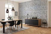 Komar RAW R4-041 | Bestellen bij https://www.kleurmijninterieur.nl/