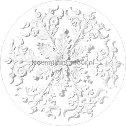Kek Amsterdam Circles and Panels sc-078 | Bestellen bij https://www.kleurmijninterieur.nl/