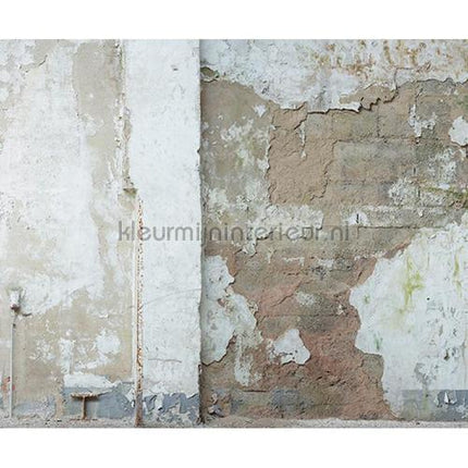 Architects Paper AP Digital 2 470435 200 grams | Bestellen bij https://www.kleurmijninterieur.nl/
