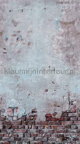Livingwalls Metropolitan Stories THE WALL 383361 | Bestellen bij https://www.kleurmijninterieur.nl/
