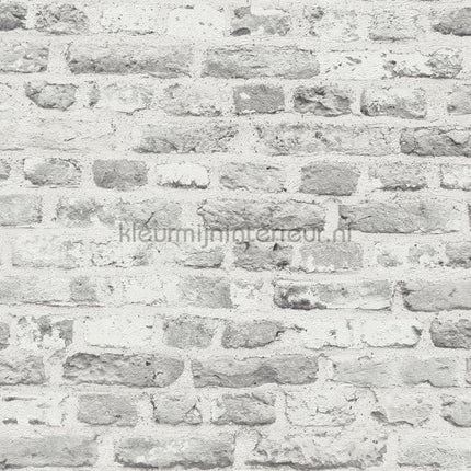 AS Creation The BOS 38829-4 | Bestellen bij https://www.kleurmijninterieur.nl/