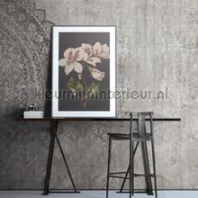 Noordwand Vanilla Lime 14196 | Bestellen bij https://www.kleurmijninterieur.nl/