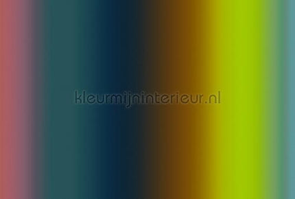 AS Creation Walls by Patel 3 DD122604 | Bestellen bij https://www.kleurmijninterieur.nl/