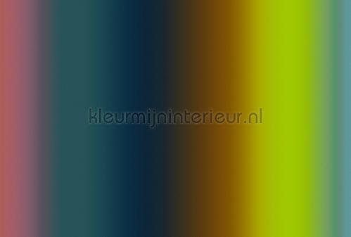 AS Creation Walls by Patel 3 DD122604 | Bestellen bij https://www.kleurmijninterieur.nl/