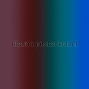 AS Creation Walls by Patel 3 DD122608 | Bestellen bij https://www.kleurmijninterieur.nl/