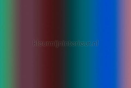 AS Creation Walls by Patel 3 DD122608 | Bestellen bij https://www.kleurmijninterieur.nl/