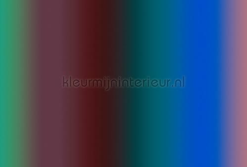 AS Creation Walls by Patel 3 DD122608 | Bestellen bij https://www.kleurmijninterieur.nl/