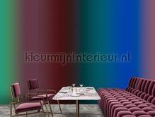 AS Creation Walls by Patel 3 DD122608 | Bestellen bij https://www.kleurmijninterieur.nl/