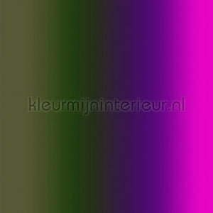 AS Creation Walls by Patel 3 DD122612 | Bestellen bij https://www.kleurmijninterieur.nl/