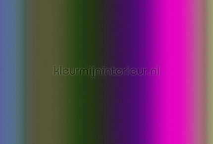 AS Creation Walls by Patel 3 DD122612 | Bestellen bij https://www.kleurmijninterieur.nl/
