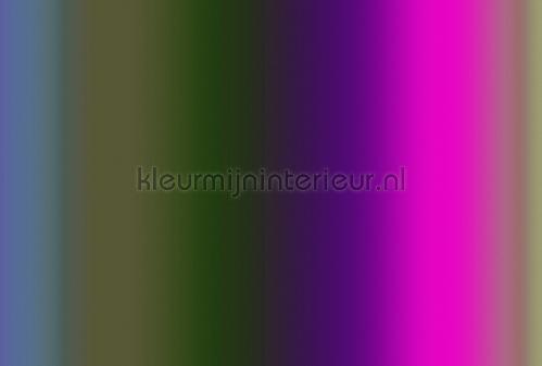AS Creation Walls by Patel 3 DD122612 | Bestellen bij https://www.kleurmijninterieur.nl/