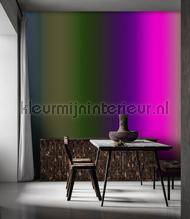 AS Creation Walls by Patel 3 DD122612 | Bestellen bij https://www.kleurmijninterieur.nl/