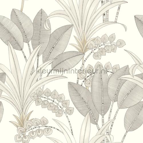 Casadeco Nicaragua NICA86410202 | Bestellen bij https://www.kleurmijninterieur.nl/