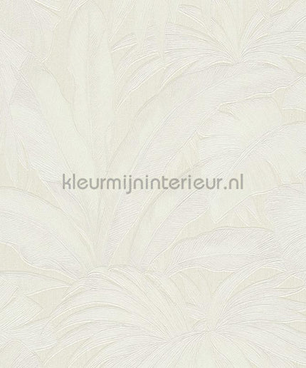 Versace wallpaper Versace 5 962402 | Bestellen bij https://www.kleurmijninterieur.nl/