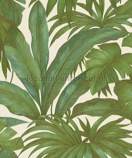 Versace wallpaper Versace 5 962405 | Bestellen bij https://www.kleurmijninterieur.nl/