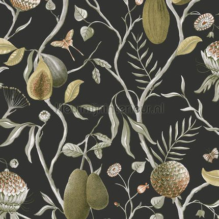 Khroma Cabinet of Curiosities CAB605 | Bestellen bij https://www.kleurmijninterieur.nl/