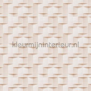 AS Creation Walls by Patel 3 DD122684 | Bestellen bij https://www.kleurmijninterieur.nl/