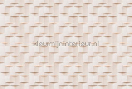 AS Creation Walls by Patel 3 DD122684 | Bestellen bij https://www.kleurmijninterieur.nl/