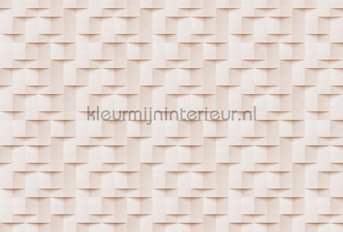 AS Creation Walls by Patel 3 DD122684 | Bestellen bij https://www.kleurmijninterieur.nl/