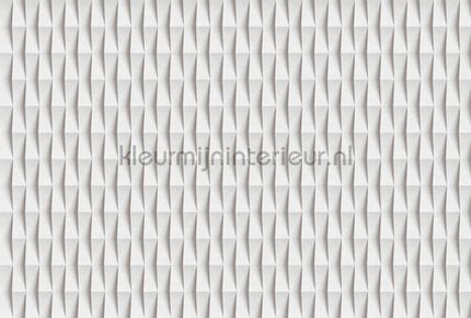 AS Creation Walls by Patel 3 DD122688 | Bestellen bij https://www.kleurmijninterieur.nl/