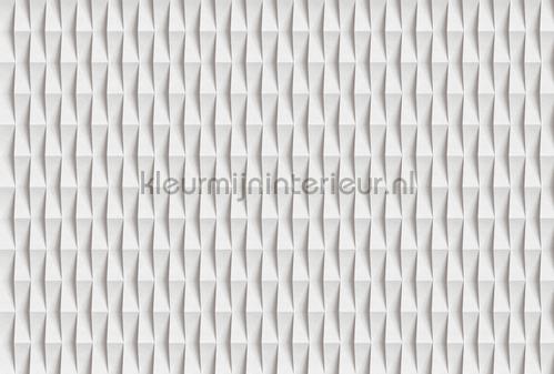 AS Creation Walls by Patel 3 DD122688 | Bestellen bij https://www.kleurmijninterieur.nl/