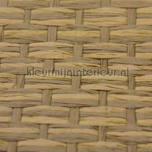 Rodeka Innovations gpw-ivpd-229 | Bestellen bij https://www.kleurmijninterieur.nl/