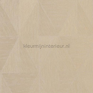 Casamance Metal textures 75770508 | Bestellen bij https://www.kleurmijninterieur.nl/