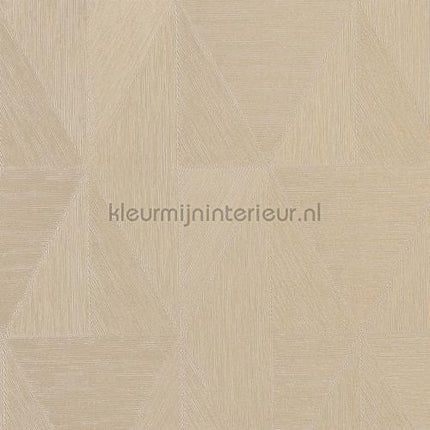 Casamance Metal textures 75770508 | Bestellen bij https://www.kleurmijninterieur.nl/