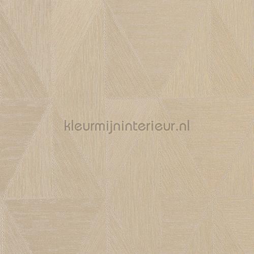 Casamance Metal textures 75770508 | Bestellen bij https://www.kleurmijninterieur.nl/