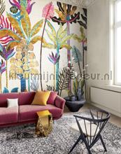 Khroma Havana DGHAV204 | Bestellen bij https://www.kleurmijninterieur.nl/