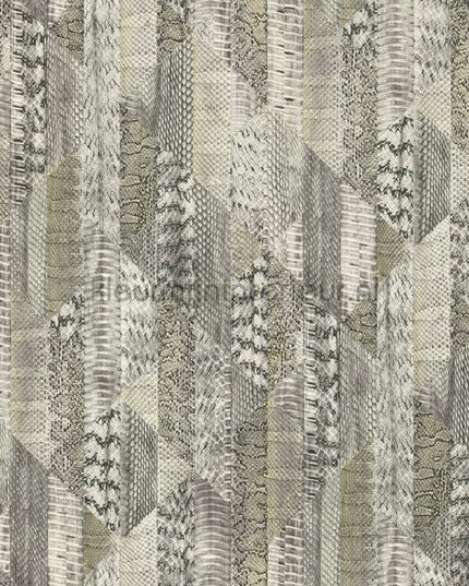 Dutch First Class Roberto Cavalli 8 19066 | Bestellen bij https://www.kleurmijninterieur.nl/