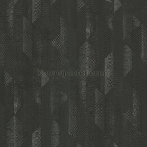 Dutch First Class Roberto Cavalli 8 19067 | Bestellen bij https://www.kleurmijninterieur.nl/