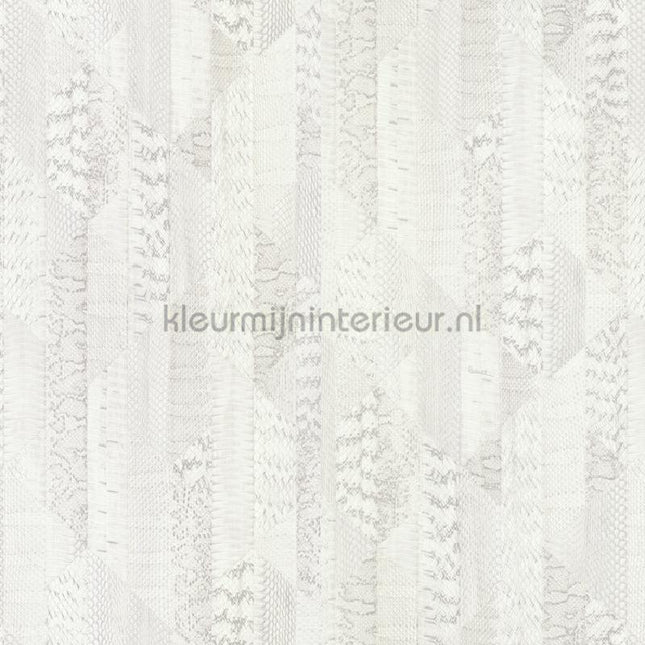 Dutch First Class Roberto Cavalli 8 19068 | Bestellen bij https://www.kleurmijninterieur.nl/