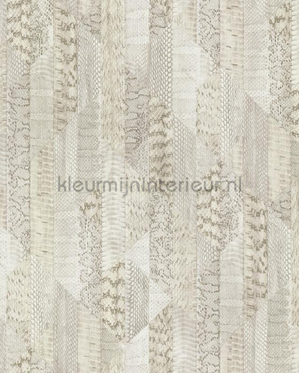 Dutch First Class Roberto Cavalli 8 19069 | Bestellen bij https://www.kleurmijninterieur.nl/