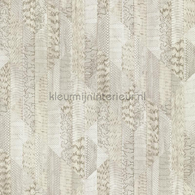 Dutch First Class Roberto Cavalli 8 19069 | Bestellen bij https://www.kleurmijninterieur.nl/