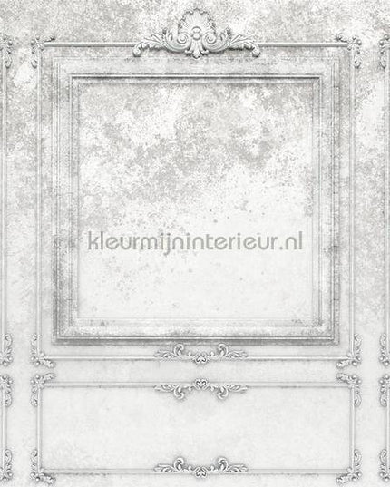 Komar RAW R4-044 | Bestellen bij https://www.kleurmijninterieur.nl/