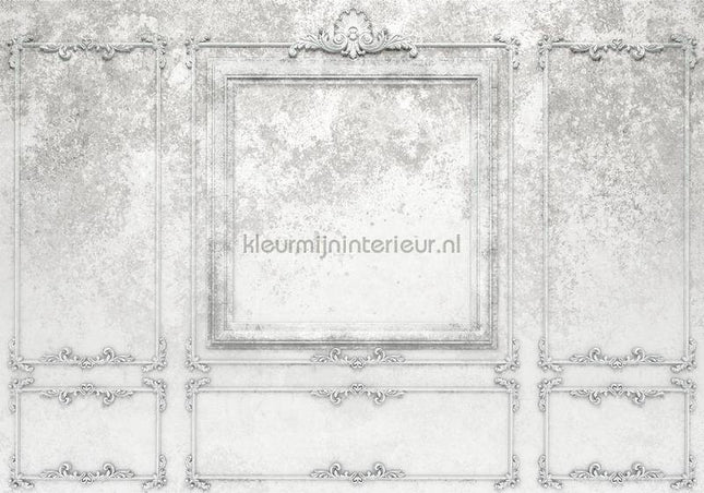 Komar RAW R4-044 | Bestellen bij https://www.kleurmijninterieur.nl/
