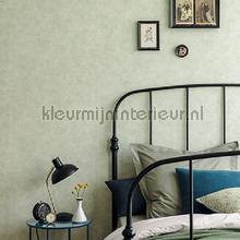 Caselio Patine PAI100227440 | Bestellen bij https://www.kleurmijninterieur.nl/