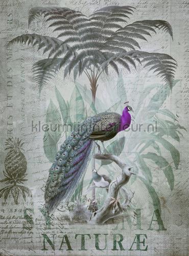 Livingwalls ARTist dd119709 | Bestellen bij https://www.kleurmijninterieur.nl/