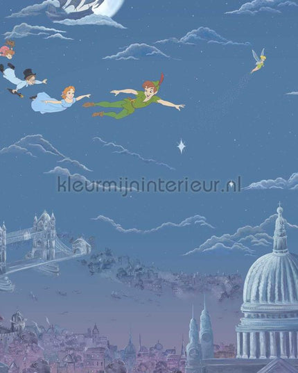 Sanderson Disney HOME x Sanderson DDIW217293 | Bestellen bij https://www.kleurmijninterieur.nl/