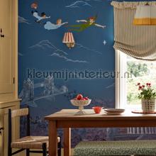 Sanderson Disney HOME x Sanderson DDIW217293 | Bestellen bij https://www.kleurmijninterieur.nl/