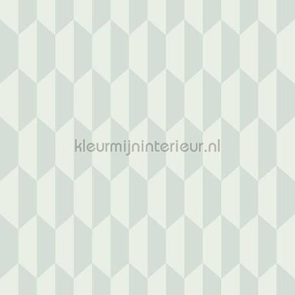 Cole and Son Icons 112-5020 | Bestellen bij https://www.kleurmijninterieur.nl/