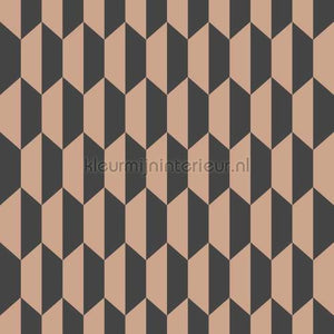 Cole and Son Icons 112-5022 | Bestellen bij https://www.kleurmijninterieur.nl/
