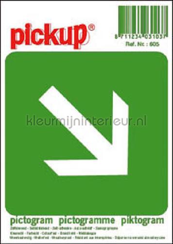 Pick-up Bewegwijzering P605 | Bestellen bij https://www.kleurmijninterieur.nl/