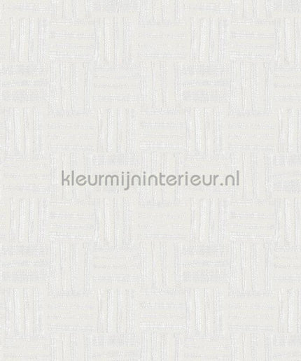 Hookedonwalls Tropical Weave 18829 | Bestellen bij https://www.kleurmijninterieur.nl/
