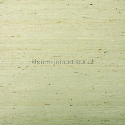 Rodeka Innovations gpw-ivad-801 | Bestellen bij https://www.kleurmijninterieur.nl/